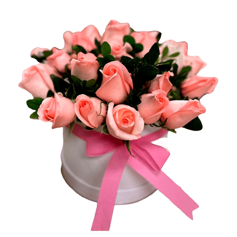 Box Rosado