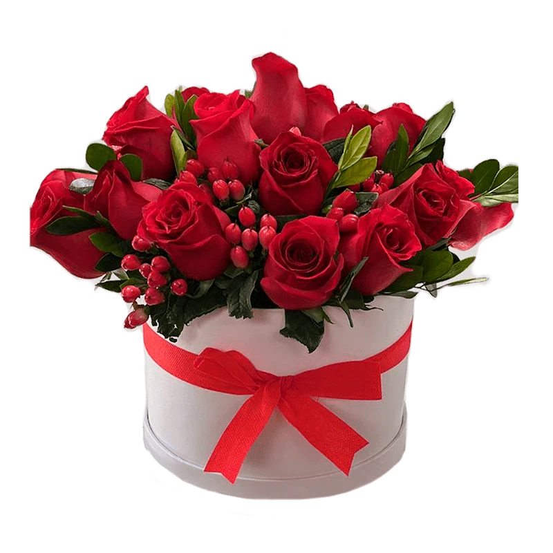 Box rojo