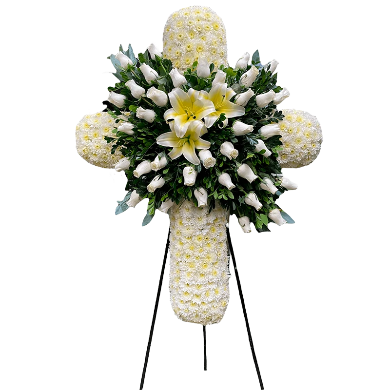 cruz blanca