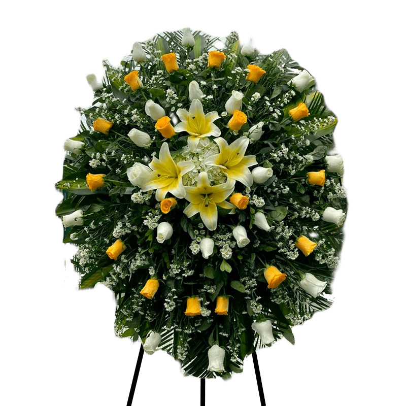 Corona Amarilla Moderna