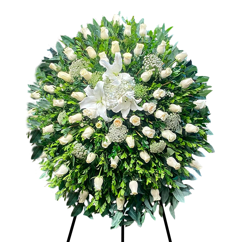 Corona Fina