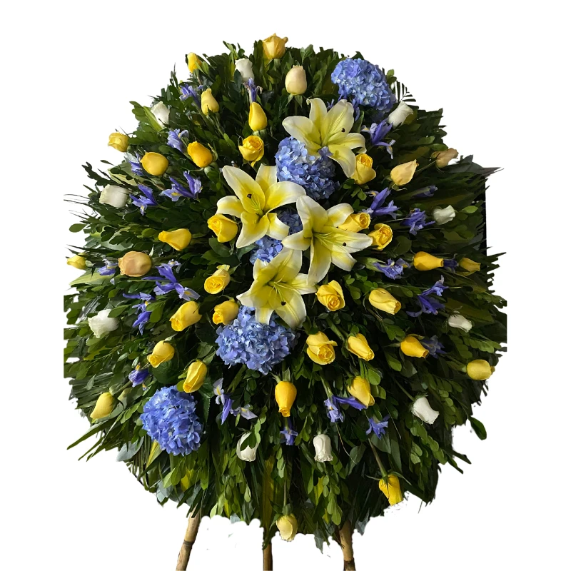 Corona Bella