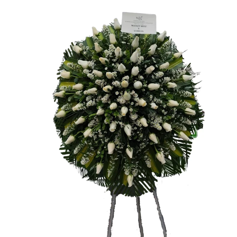 Corona Premium Blanca