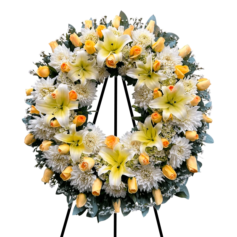 Corona Bicolor